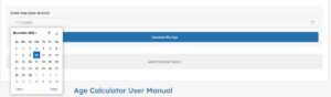 Date input field screenshot